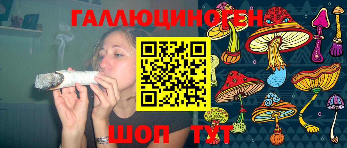 Губкин  Псилоцибиновые грибы Magic Shrooms  Вход с VPN  Галлюциногенные грибы ЛСД 