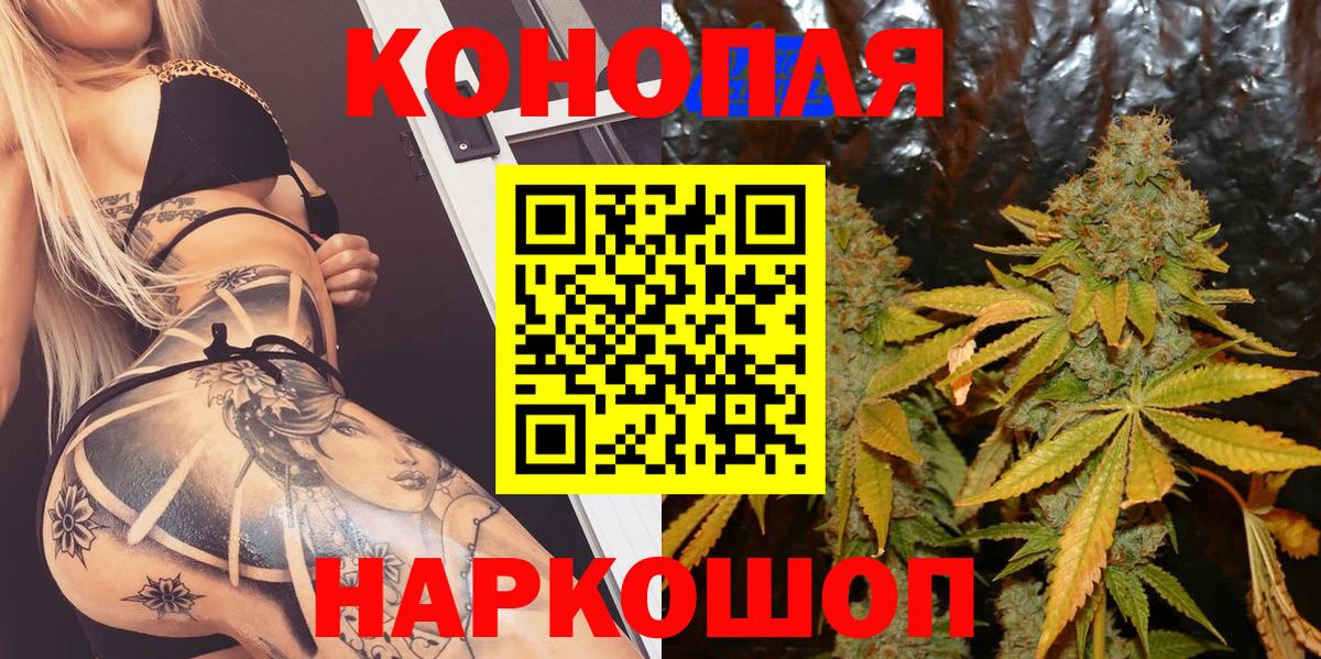 Бошки марихуана планчик  Вход с VPN  Губкин  Шишки марихуана индика  Бошки марихуана Amnesia  Конопля индика 